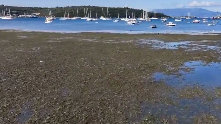 Морето в Турция се отдръпна на повече от 30 м от брега, повод за паника ли е? ВИДЕО