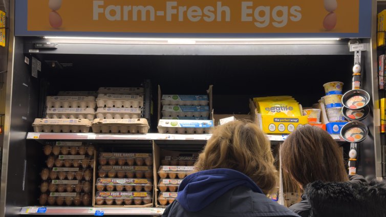 Цените на яйцата в САЩ скачат, докато птичият грип върлува във фермите
