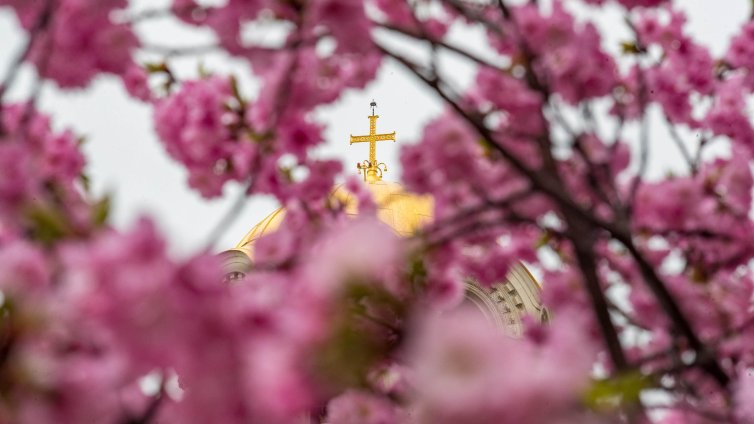Времето днес: Захлажда, на места дъждове с гръмотевици