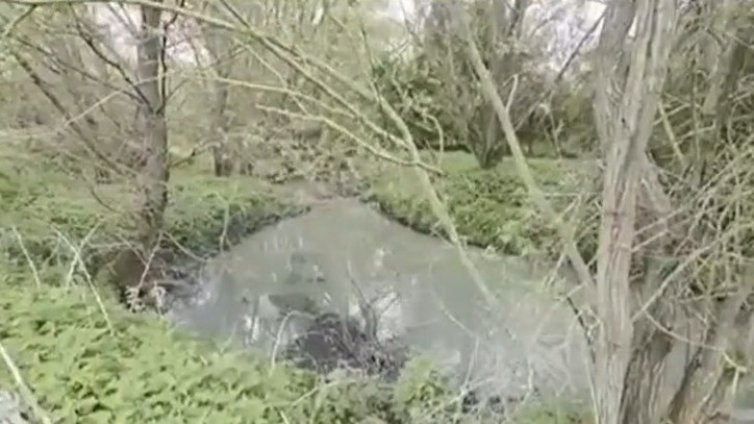 Остра миризма, оцветена вода, мъртва риба – замърсена е Сливнишка река в Софийско