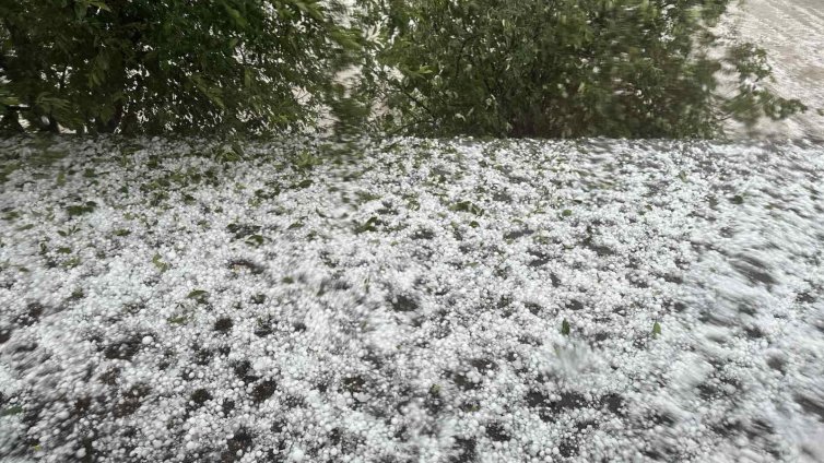 Градушка съсипа реколтата в в села в община Неделино