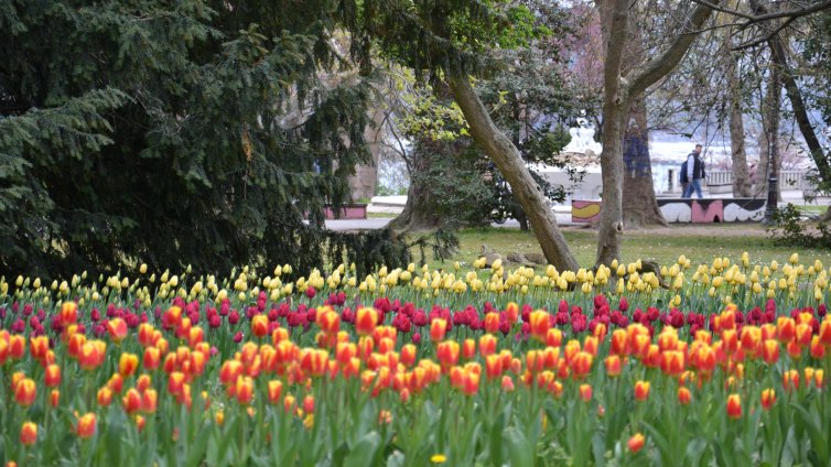 Слънчево ще е времето на Цветница, температурите до 20&deg;