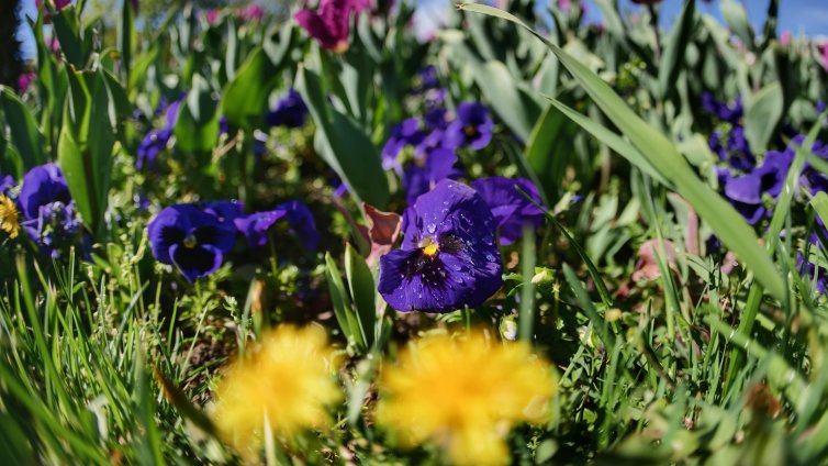 Слънце, облаци, дъжд - ще има от всичко утре