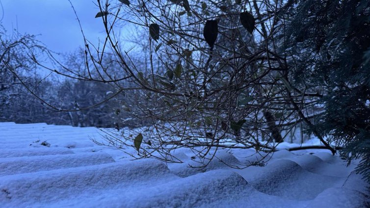 Студ и интензивни снеговалежи в неделя в цялата страна