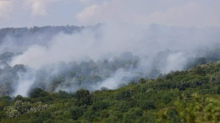 Пожарът над костинбродското село Опицвет пак се разгоря 