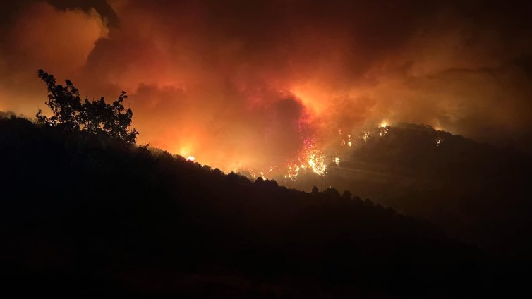 Жестокият огън в Пирин: Дървета стават на пепел за секунди ВИДЕО