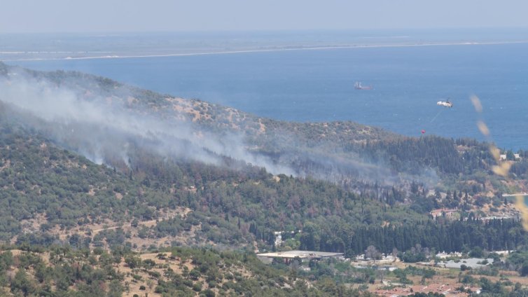Горски пожари избухнаха край Измир, има евакуирани 