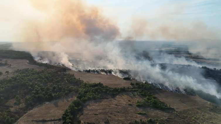 Пожар край Боаза обхвана около 15 декара сухи треви и храсти