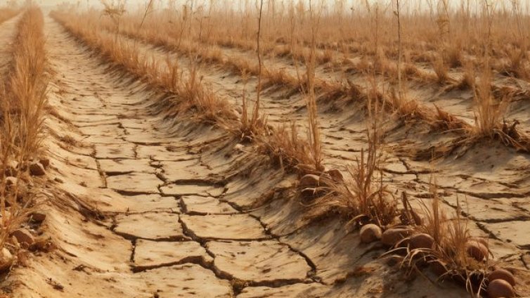 Проблеми с напояването: Полетата са с пукнатини повече от метър