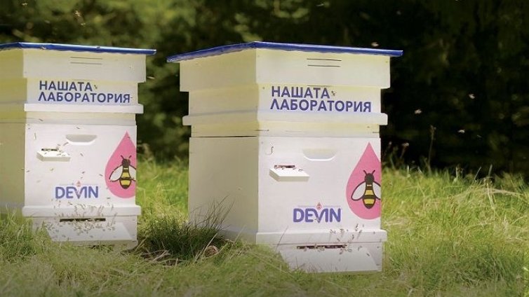 Пчелите &ndash; пазители на биоразнообразието