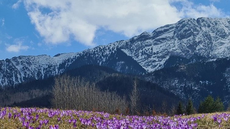ПСС: Добри условия за туризъм има в планините