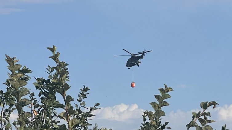 Напълно овладян е пожарът край Стара Загора