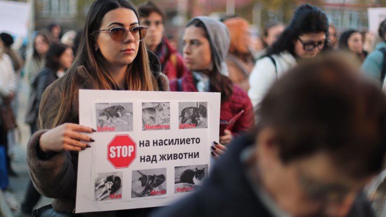 София и Варна протестират срещу насилието над животни