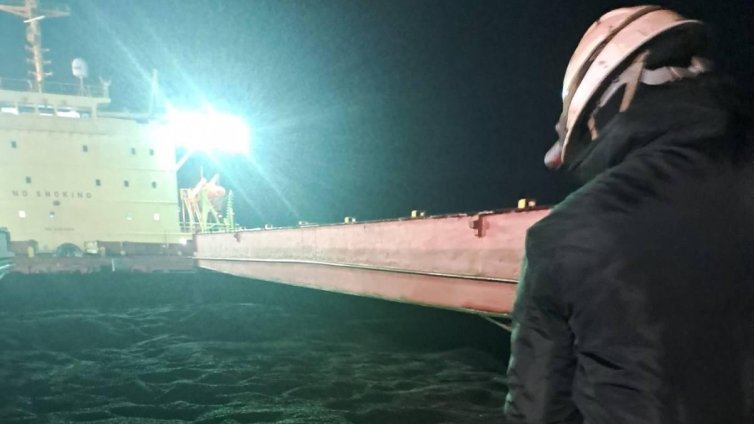 БАБХ: Открити са пестициди в слънчогледа от Аржентина и от втория кораб