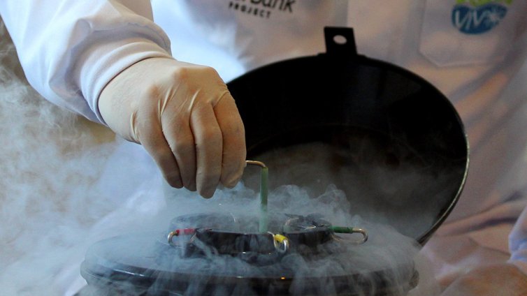 В Гърция семейство с 3 деца от един и същ датски донор е загубило едно дете от рак