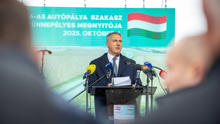 Антиромски коментар на министър може да спъне Орбан на изборите