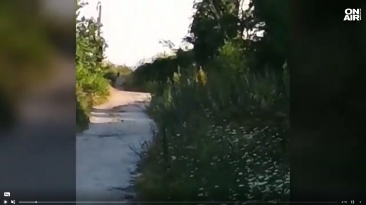 Леопардът отново се е появил в Шуменското плато тази нощ