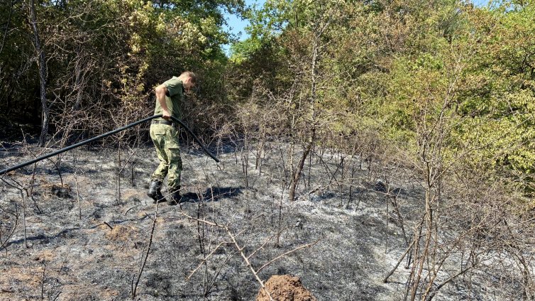 Сухи треви горят в квартал „Димитър Миленков“ в София