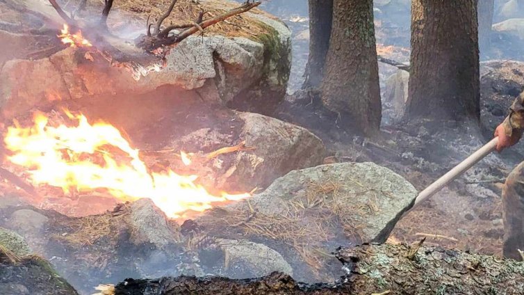 Голям пожар гори над село Илинденци