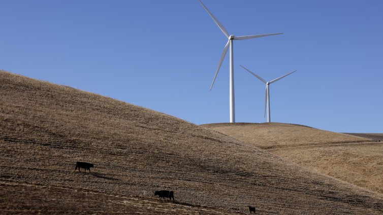 Близкият изток става най-бързо развиващият се пазар за възобновяеми източници извън Китай