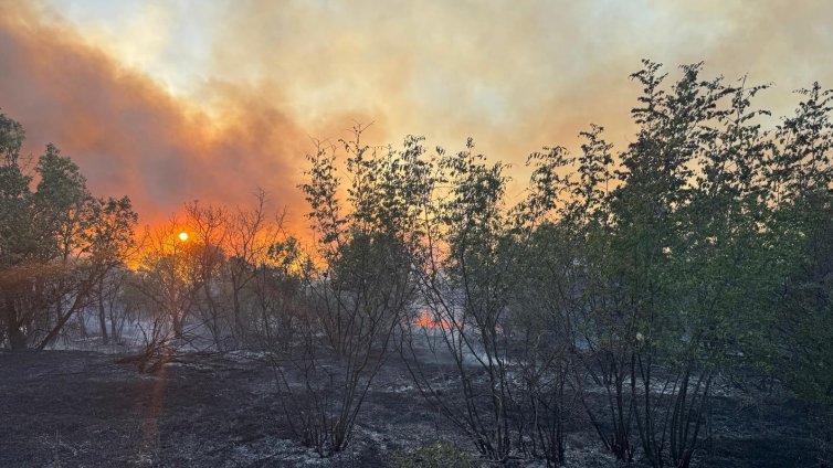 Продължава борбата с огъня в Сакар планина