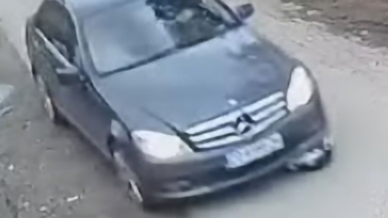 Изрод жестоко прегази две котета в село Мусачево, започнаха да го издирват онлайн ВИДЕО