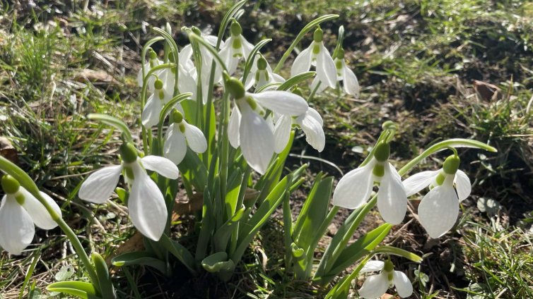 Утре последно слънце преди валежите от дъжд и сняг