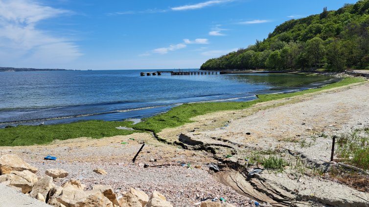 Днес слънчево, след обяд на места малко дъжд