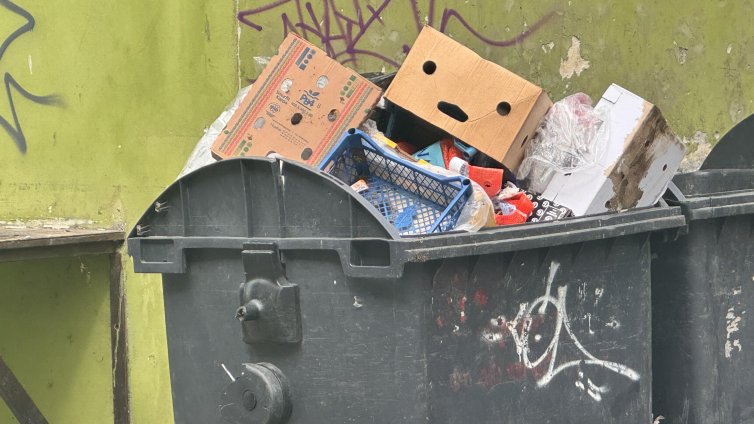 СО въвежда кризисна организация за сметопочистването в "Люлин" и "Красно село"