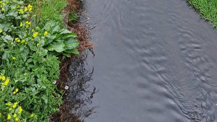 Водата на река Сливнишка в Костинброд е сиво-бяла