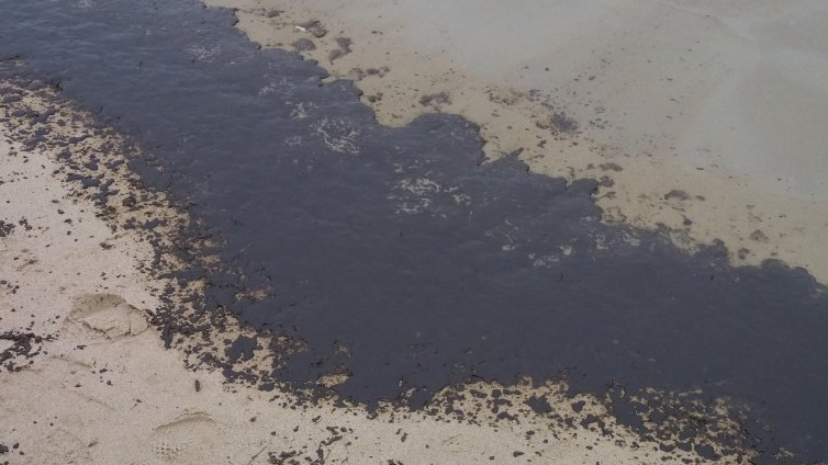 Морската вода и брегът в курортите край Варна са чисти, няма мазут