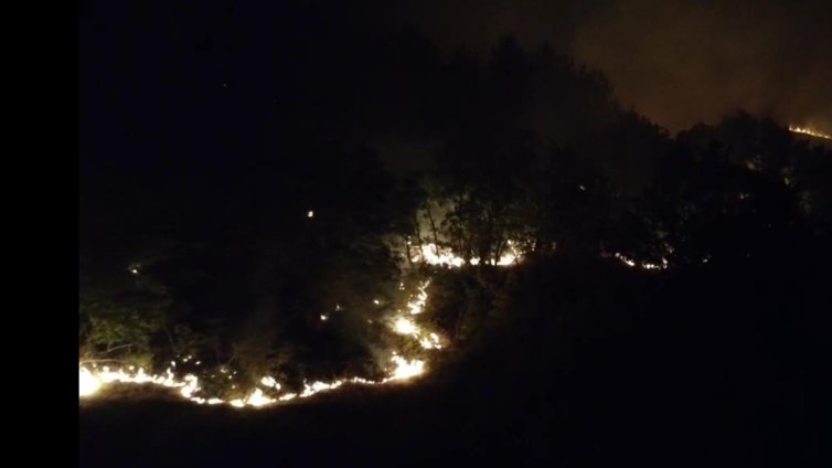 Активираха BG-ALERT заради пожара в Ямболско