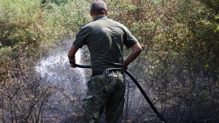 Пожар избухна до граничния пункт "Лесово"