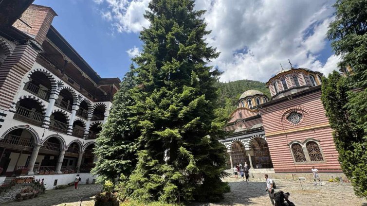 Река Елешница преля в района на Рилския манастир