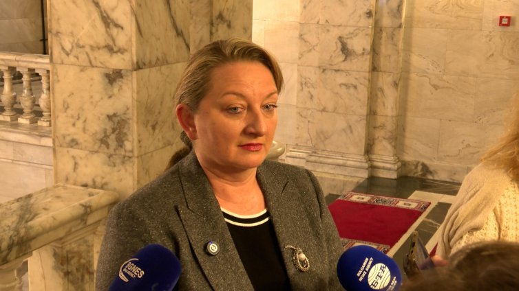 Сачева: Снощи имаше заседание, на което се даде мандат на Желязков за Съвета за мир