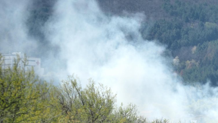 Пожар засегна част от местообитацията на птиците в Алдимировското блато