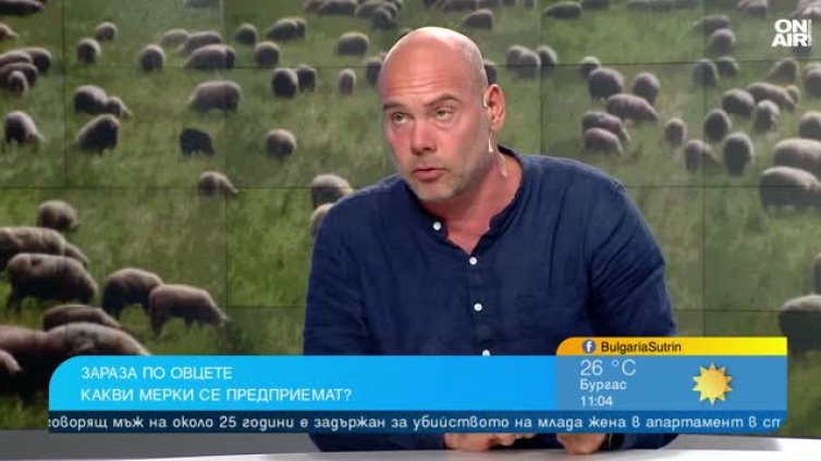 Шарката по овцете се разраства: Ваксините са купени, но не се прилагат