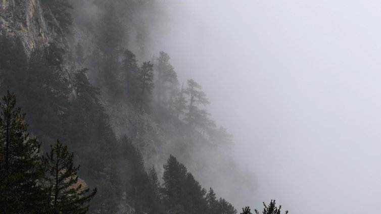 ПСС: Мъгливо и студено е в планините