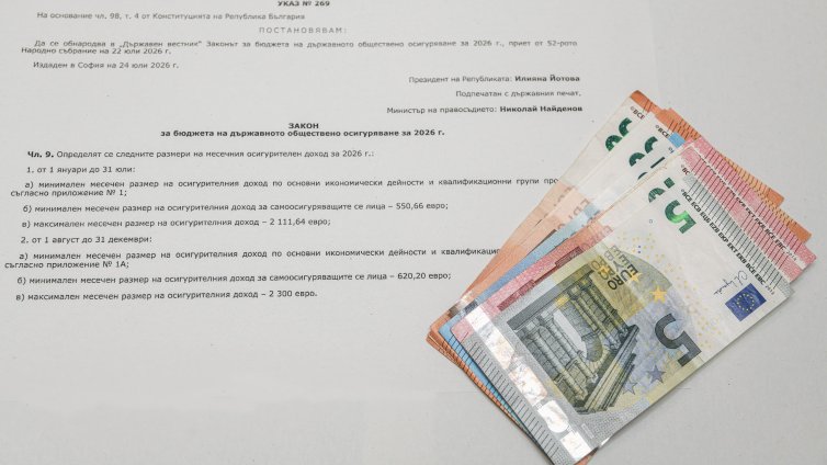 Какво работят хората, които се осигуряват на максималния осигурителен доход?