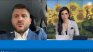 Масиран внос на аржентински слънчоглед у нас, отговаря ли на стандартите на ЕС?