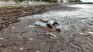 Жертвите при потопа в курорта "Елените" вече са четири