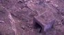 Готови са ДНК експертизите на загиналите в Горни Лом 