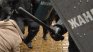 Протестът днес: Качество, а не количество в МВР