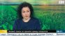 Загуби за родните ни земеделци заради руското ембарго