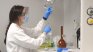 Ваксината на Оксфорд и AstraZeneca защитава и по-възрастните