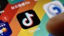 Франция глоби TikTok