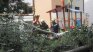 Голямо дърво падна върху столична детска площадка 