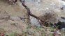 Спасиха 17-годишно момче, попаднало във водата в Търново 