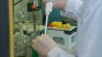 Учени с революционен метод за лечение на рак