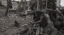 Дронове, мини и снайперисти: Фронтовата линия на Украйна е свят далеч от мирните преговори